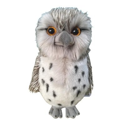 Twigs the Tawny Frogmouth - 20cm