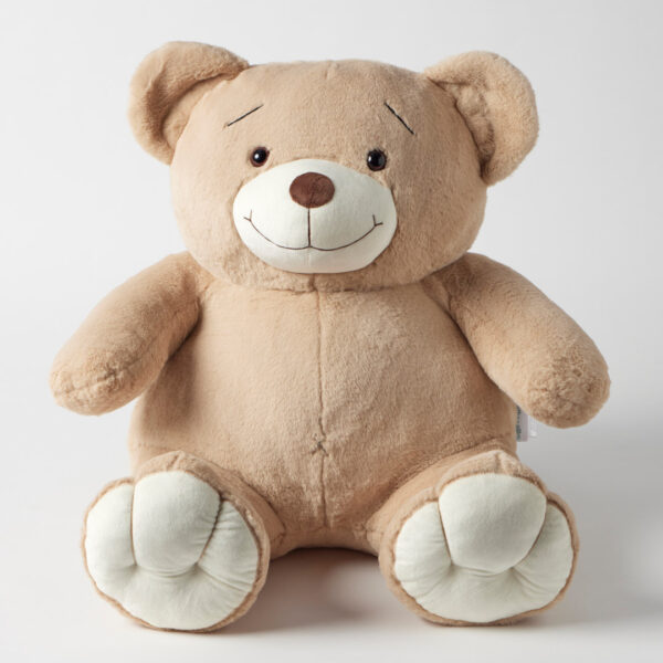 Davey Bear