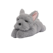 One Love Remy French Bulldog