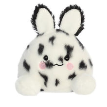Sea Bunny