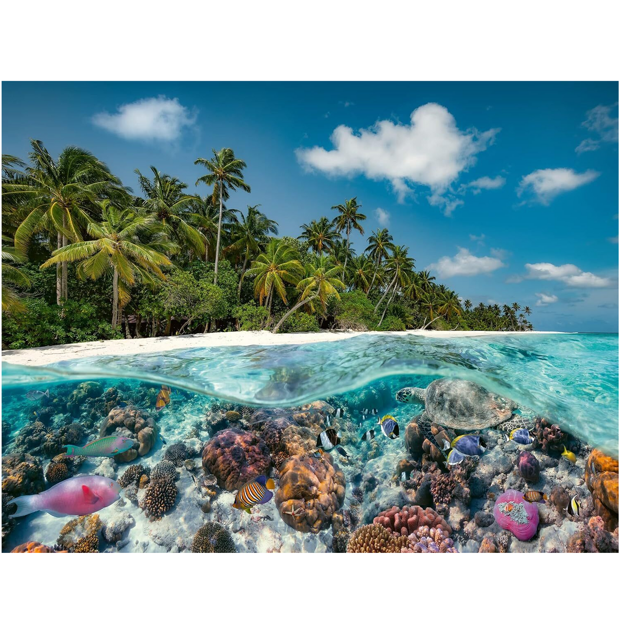 2000 pc Puzzle - A Dive in the Maldives