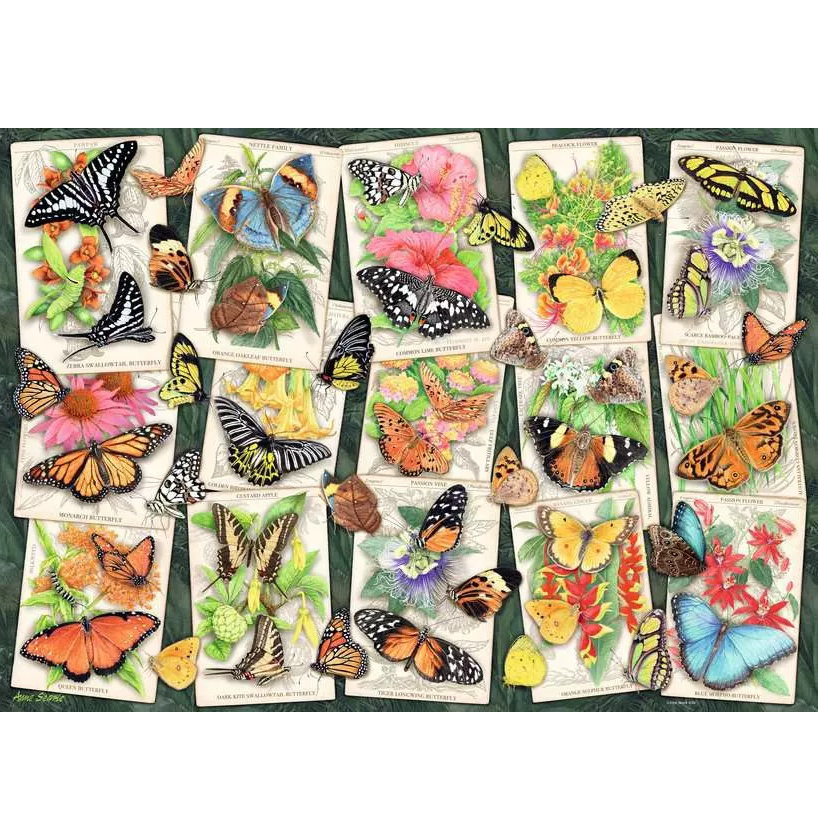 1000 pc Puzzle - Tropical Butterfly