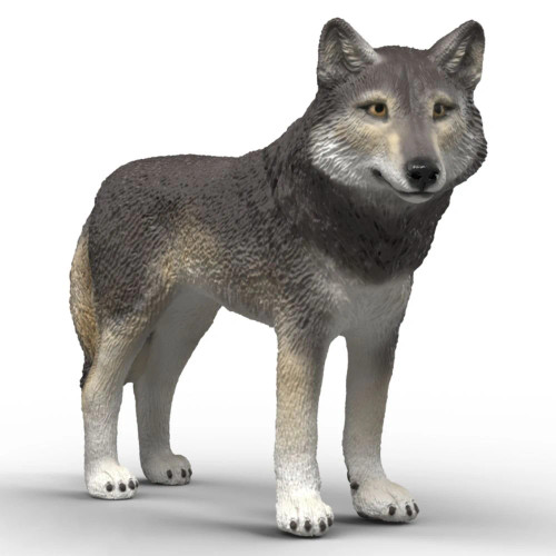 American  Wolf