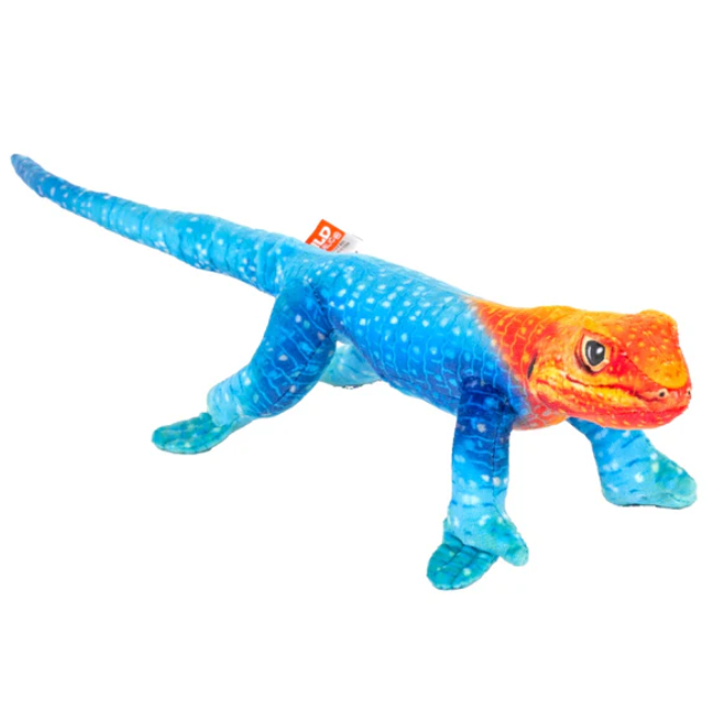 Coilkins Male Rainbow Lizard