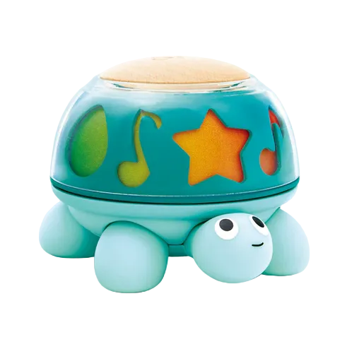 Twist & Tune Turtle
