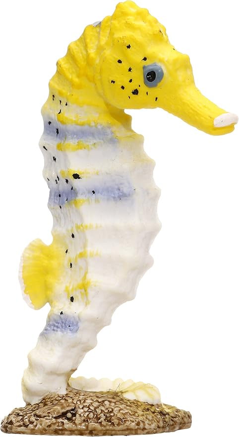 Seahorse