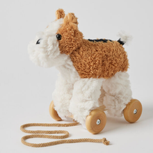 Dog Plush pull along