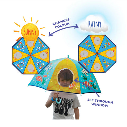 Colour Changing Umbrella with Clear Window