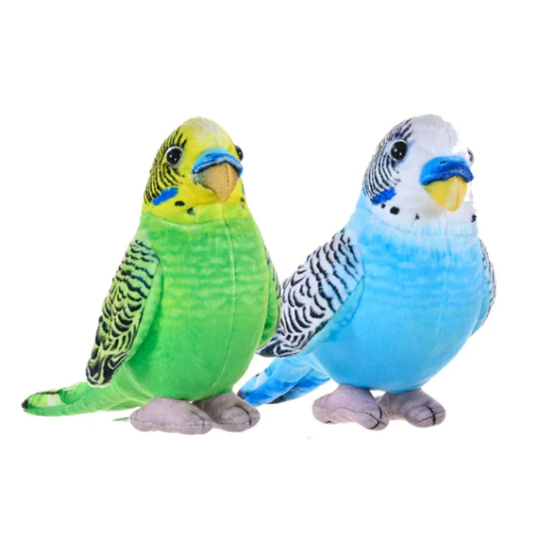 Mini Budgie - Assorted