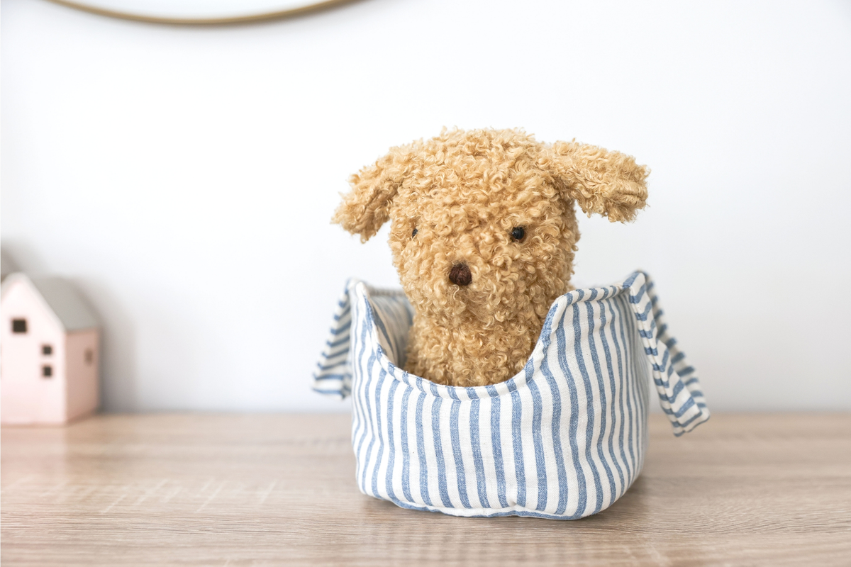 Toffee the Puppy and Carrier