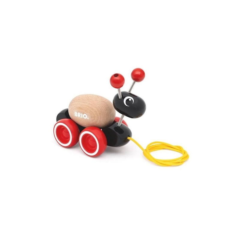 Ant with Rolling Egg 30348