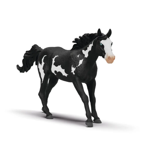 Paint Horse Gelding V2