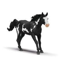 Paint Horse Gelding V2