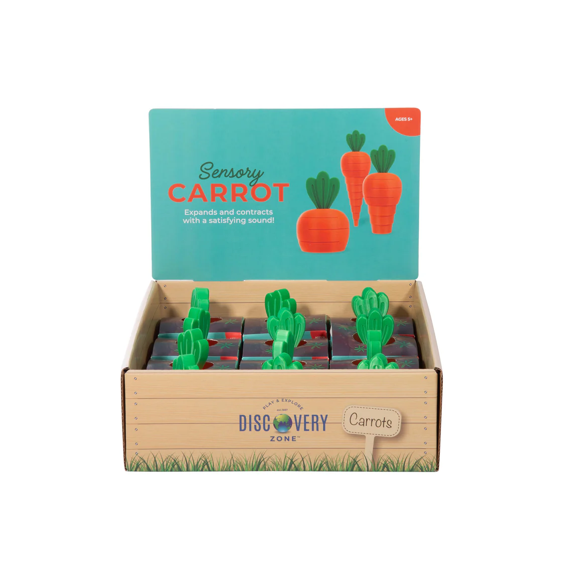 3D Sensory Carrot