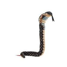 Coilkins Hooded Cobra