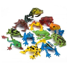 Frog Nature Tube