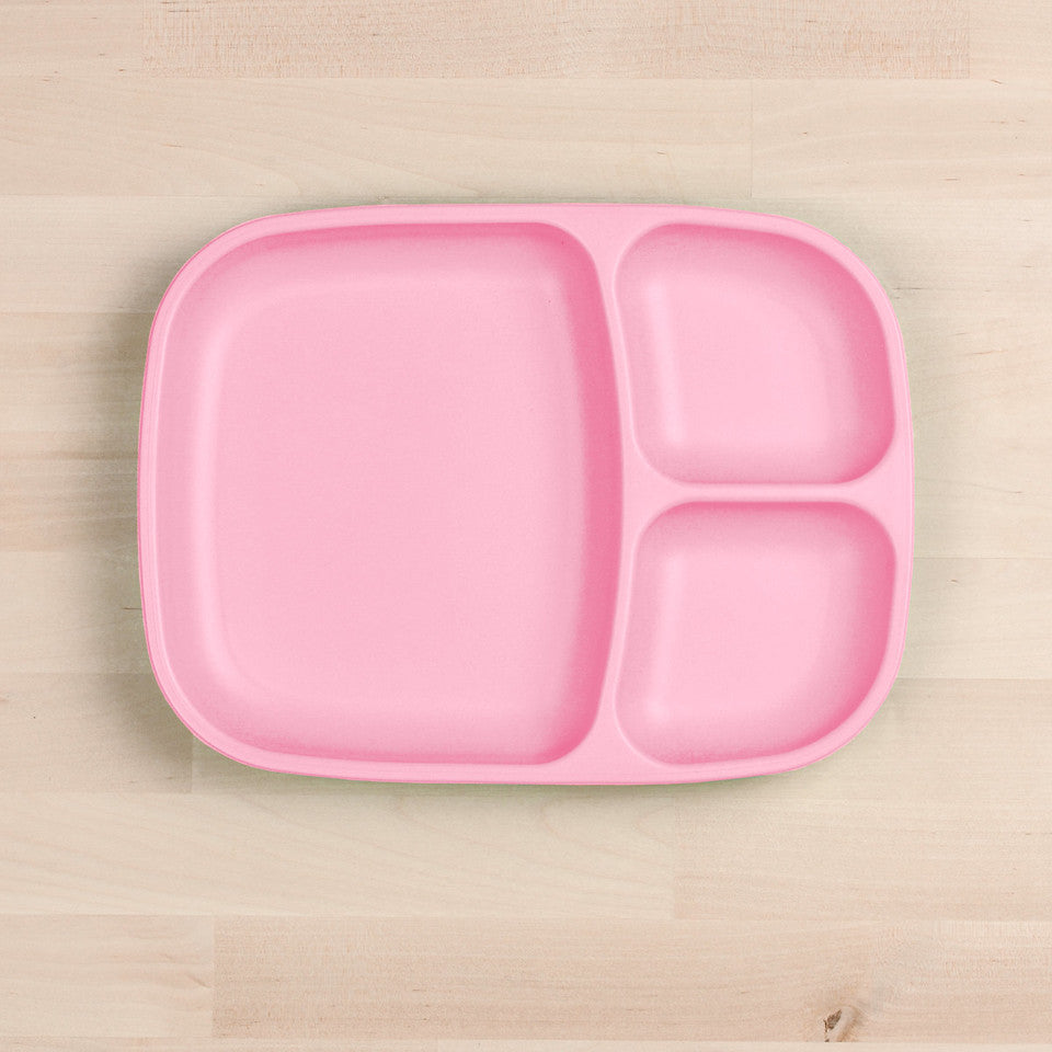 Large Divided Tray