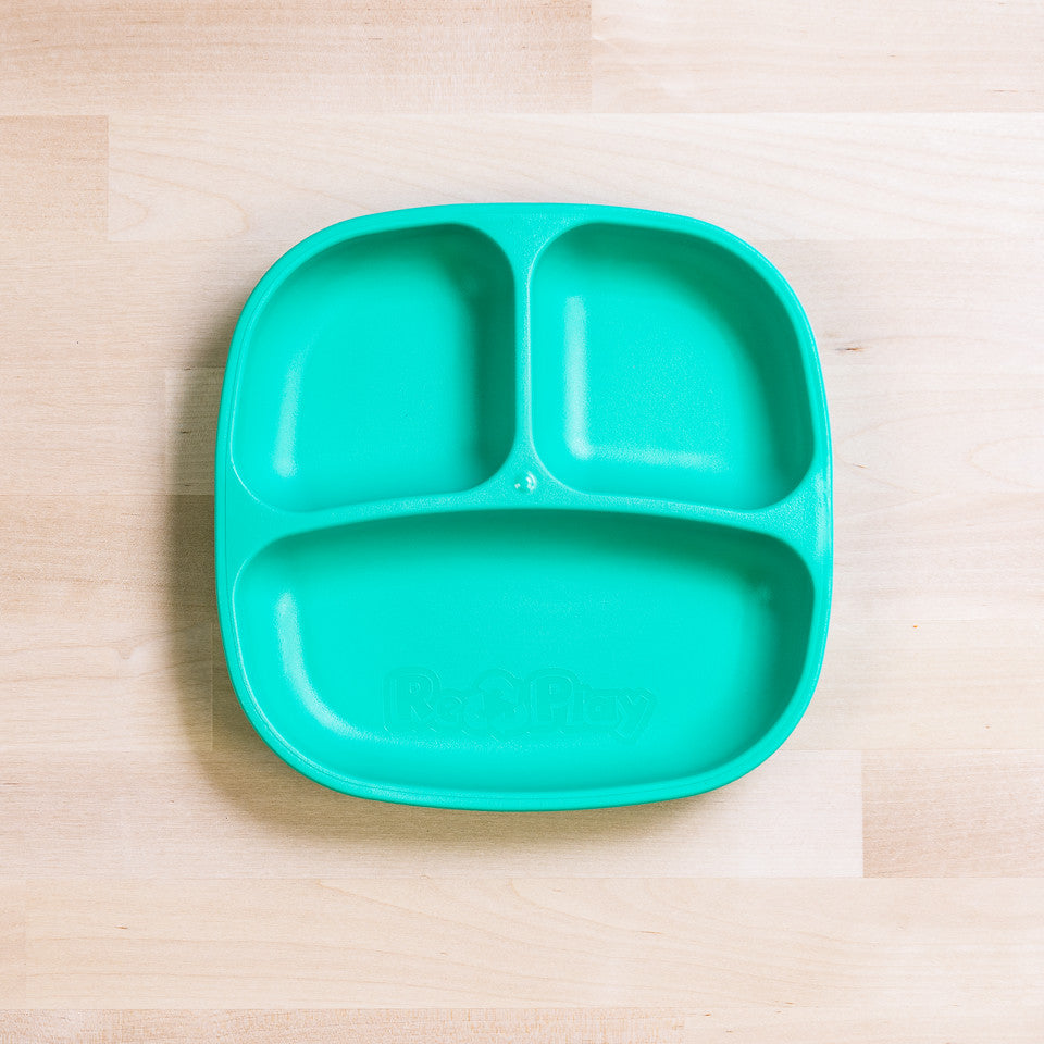 Small Divided Plate