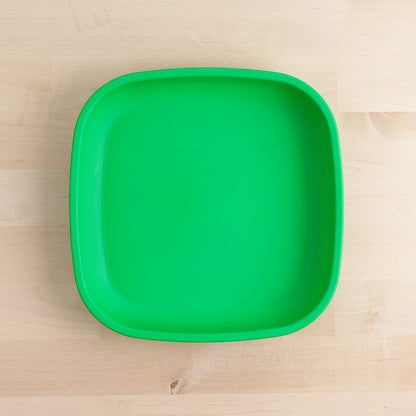 Large Flat Plate (9"/23cm)