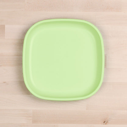 Large Flat Plate (9"/23cm)