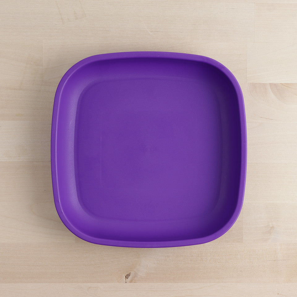 Large Flat Plate (9"/23cm)