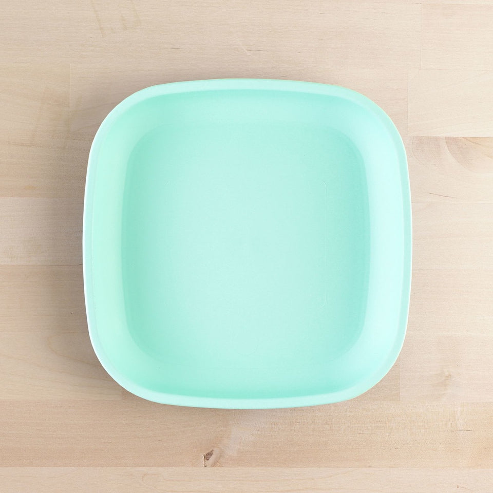 Large Flat Plate (9"/23cm)