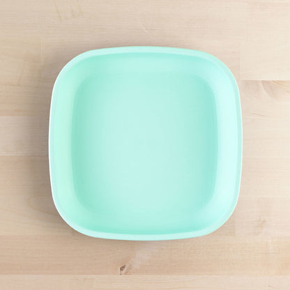 Large Flat Plate (9"/23cm)