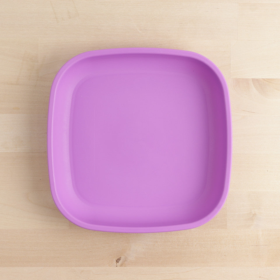 Large Flat Plate (9"/23cm)