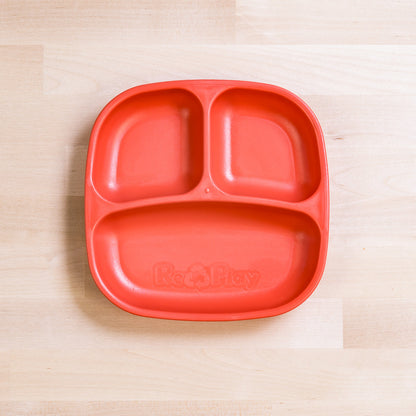 Small Divided Plate
