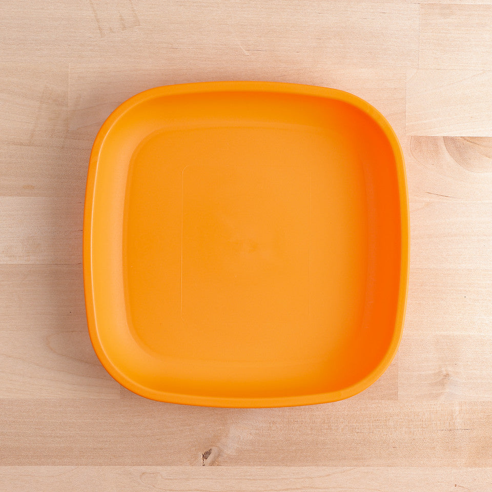 Large Flat Plate (9"/23cm)