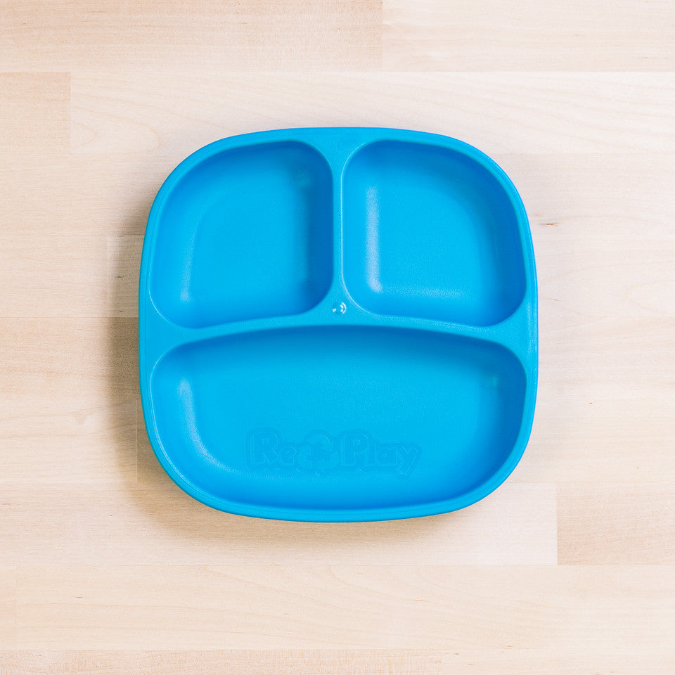 Small Divided Plate