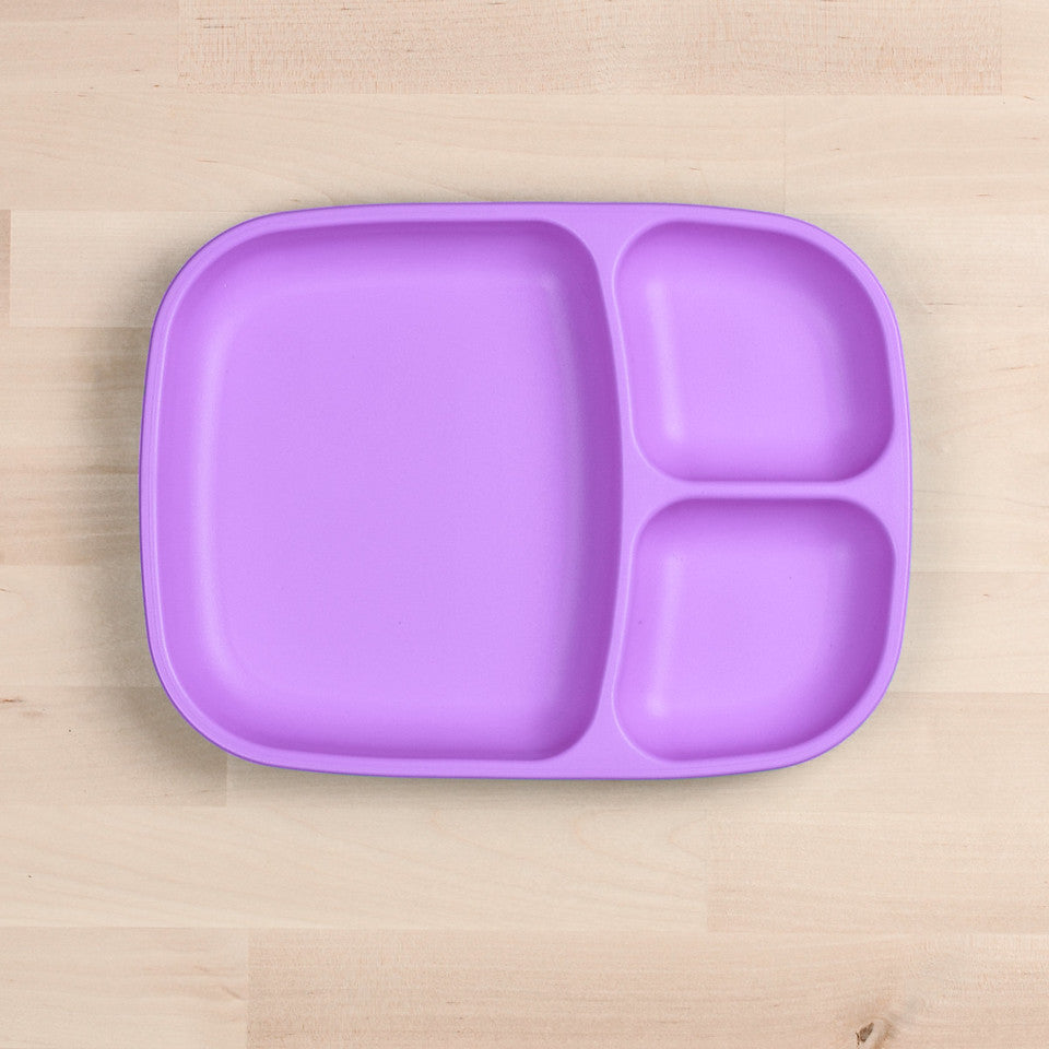 Large Divided Tray