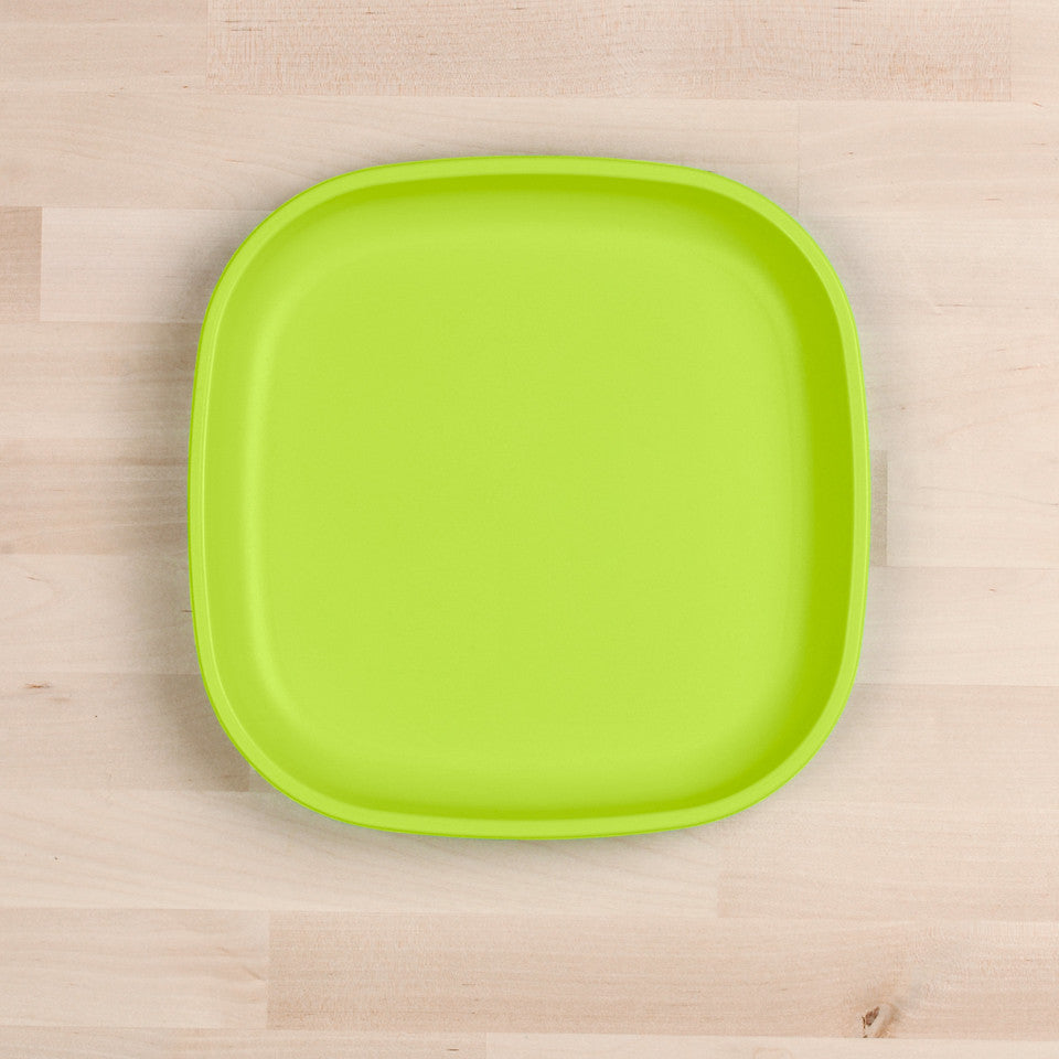Large Flat Plate (9"/23cm)