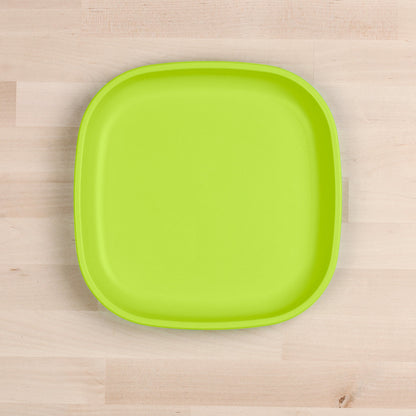 Large Flat Plate (9"/23cm)