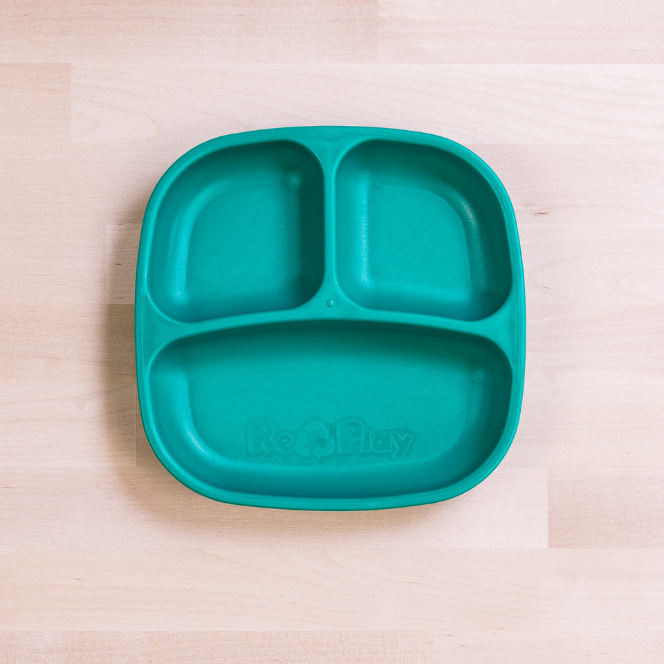 Small Divided Plate