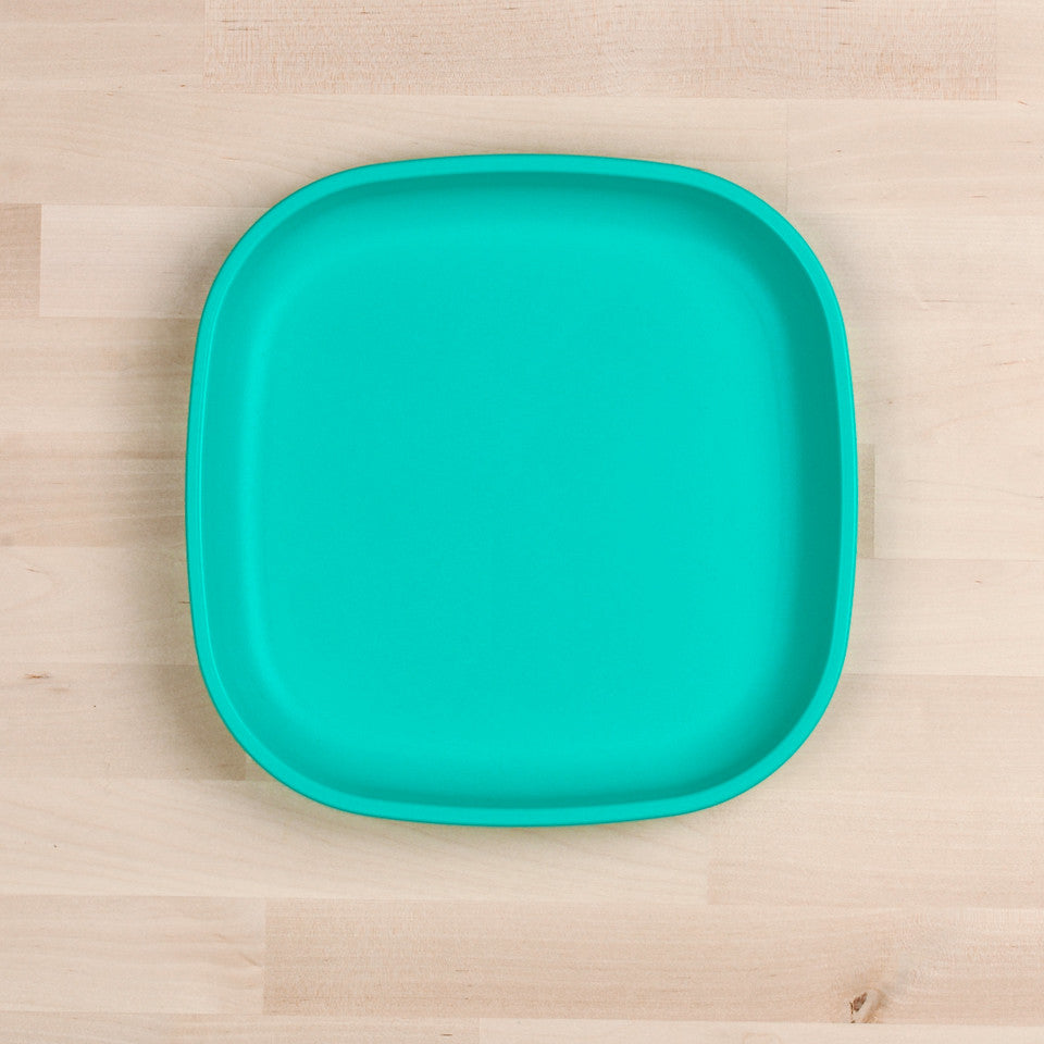 Large Flat Plate (9"/23cm)