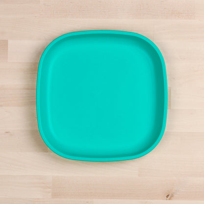Large Flat Plate (9"/23cm)
