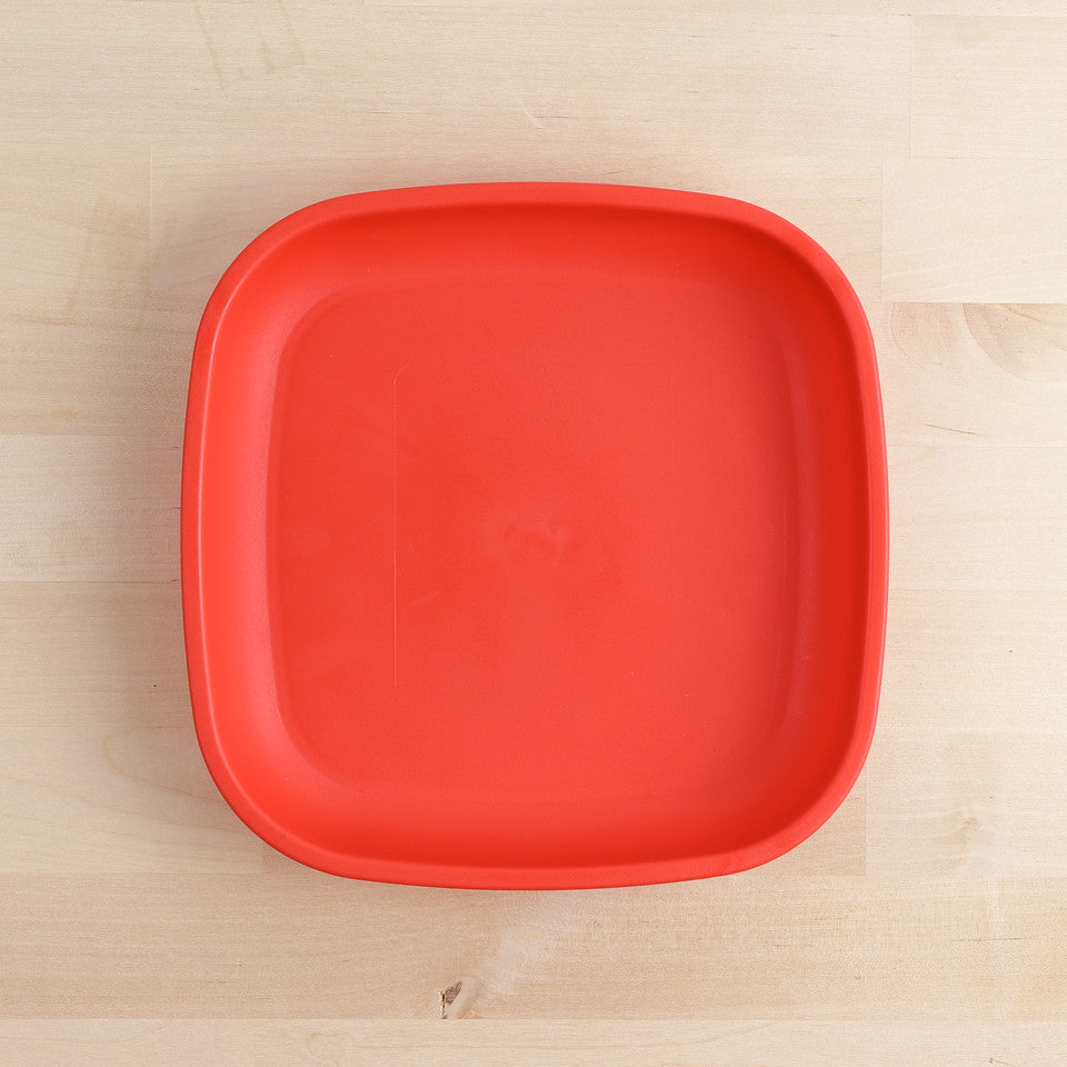 Large Flat Plate (9"/23cm)