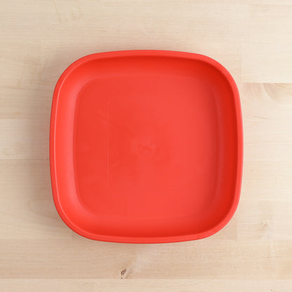 Large Flat Plate (9"/23cm)