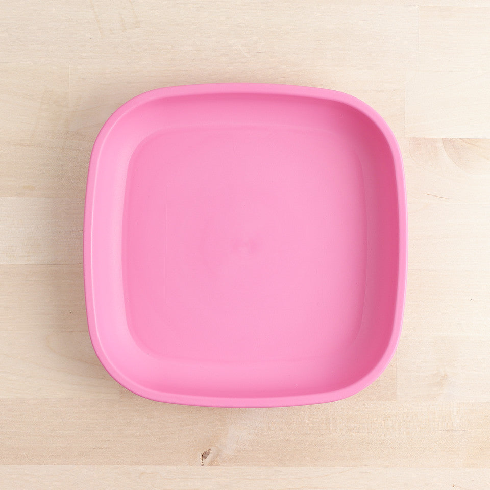 Large Flat Plate (9"/23cm)