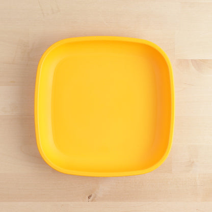 Large Flat Plate (9"/23cm)