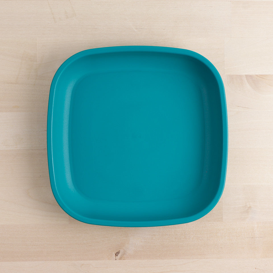 Large Flat Plate (9"/23cm)
