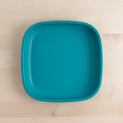 Large Flat Plate (9"/23cm)