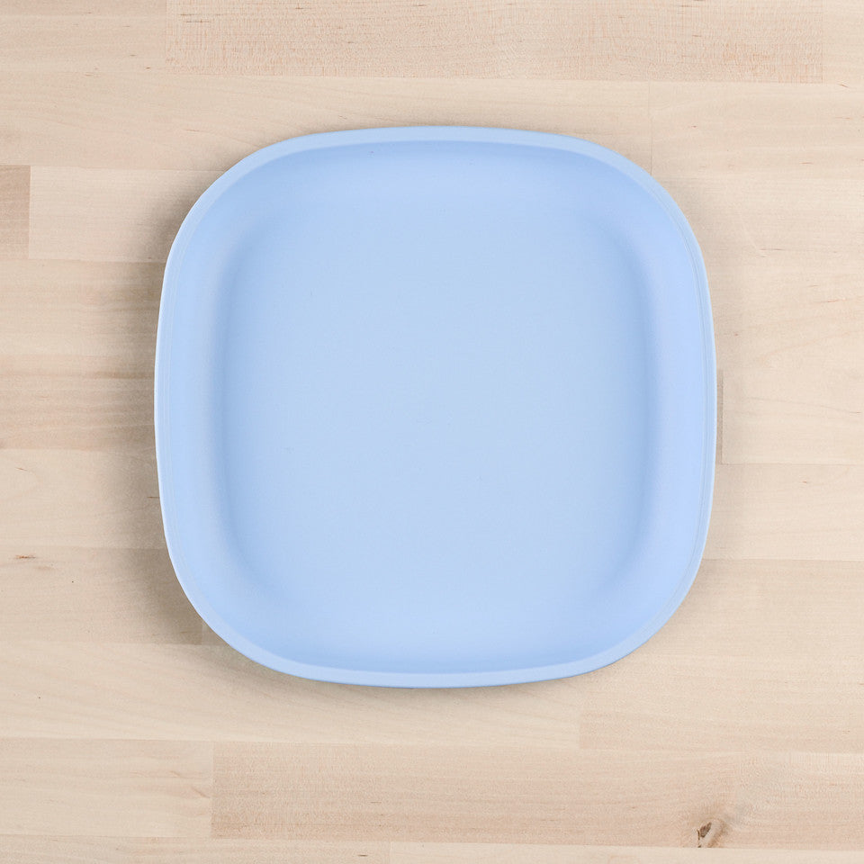 Large Flat Plate (9"/23cm)