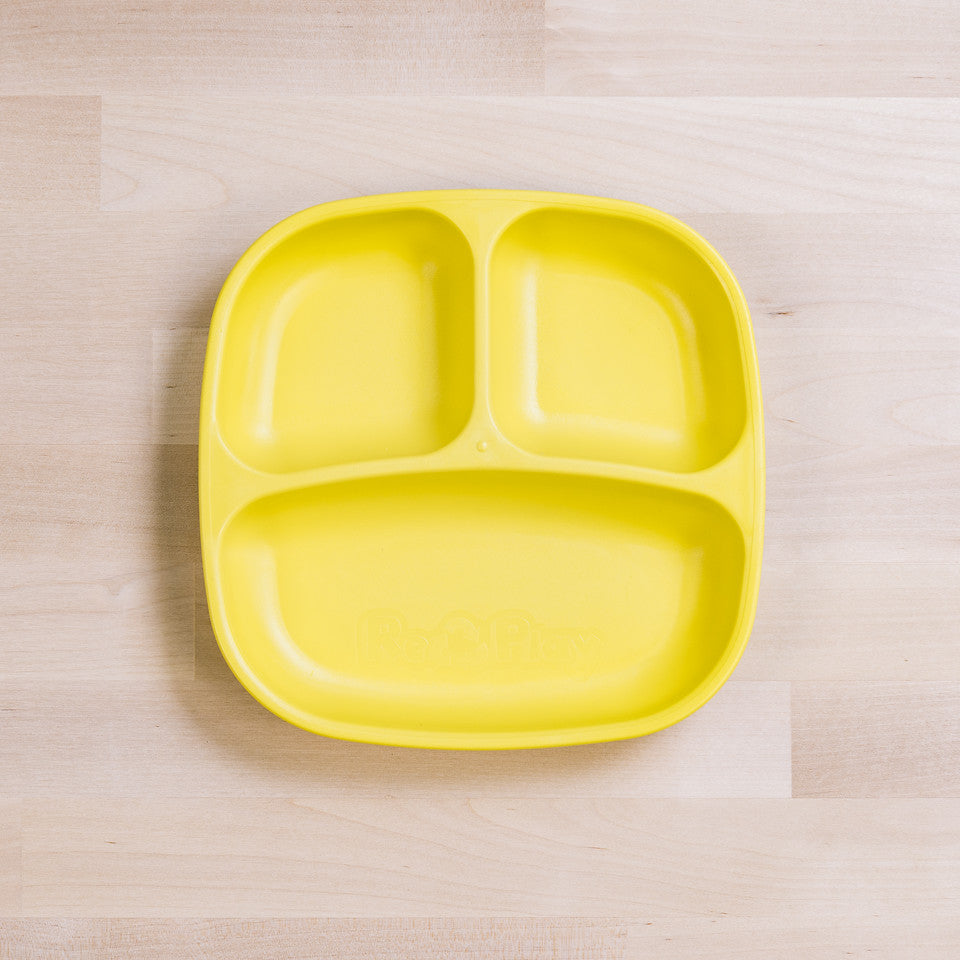 Small Divided Plate