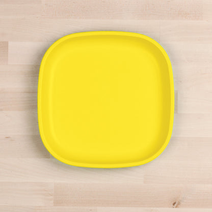 Large Flat Plate (9"/23cm)