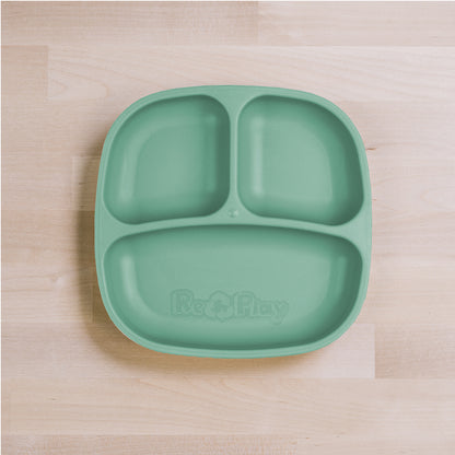 Small Divided Plate