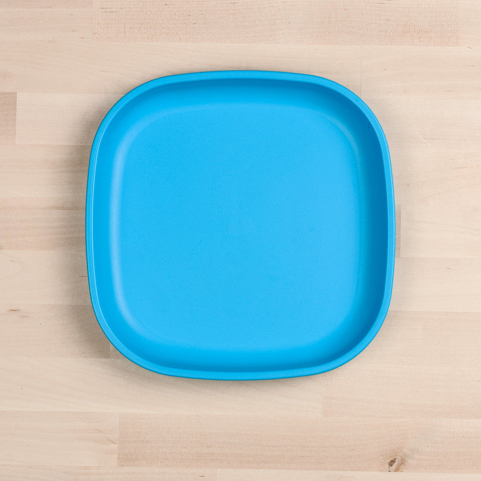 Large Flat Plate (9"/23cm)