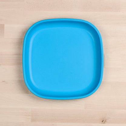 Large Flat Plate (9"/23cm)