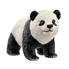 Giant Panda Cub